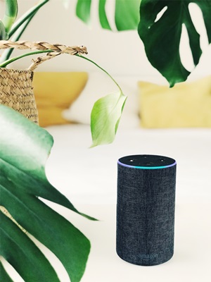 amazon echo