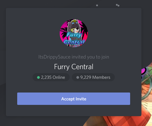 Do discord servers for you by Groover2k