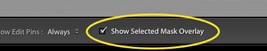show selected mask overlay