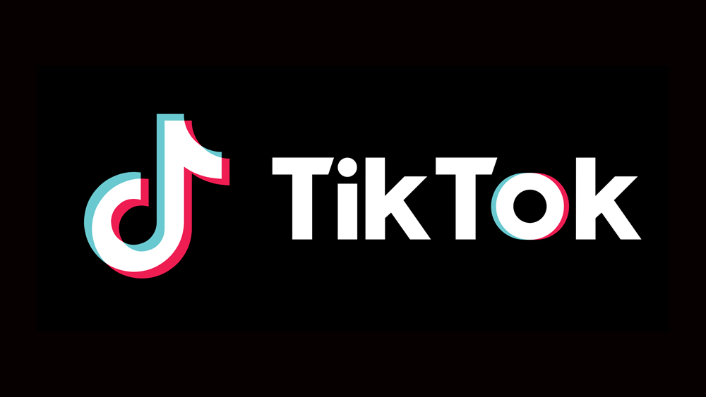 How to Draw a Dog in TikTok