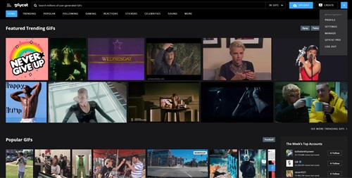 gfycat user menu