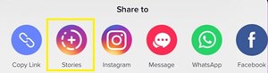 stories