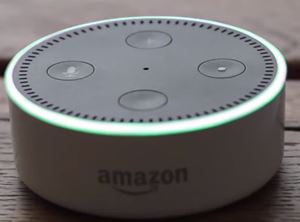 echo dot green