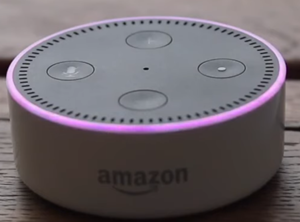 echo dot purple