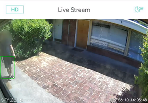 enable wyze cam person detection