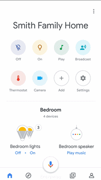 google home app example