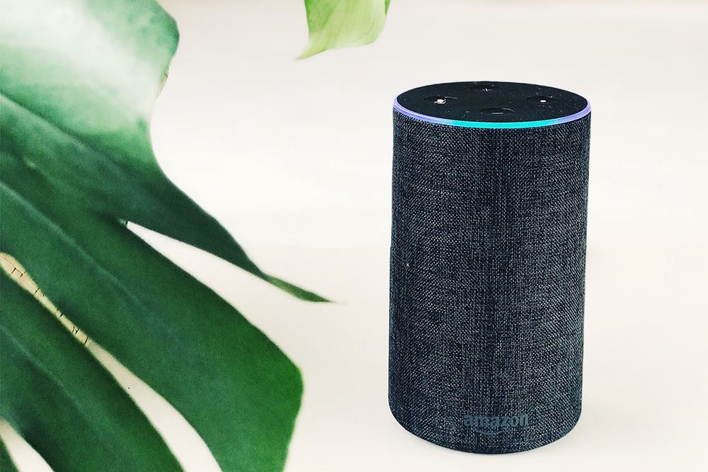 Amazon Echo How to Turn Off Green Light