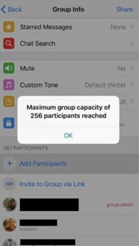 WhatsApp Group Limit