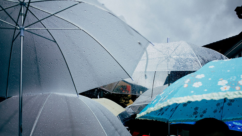 Google Home Won't Tell Me the Weather - How to Fix