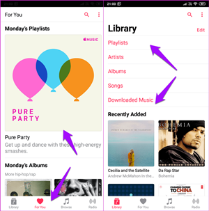 Apple Music Interface