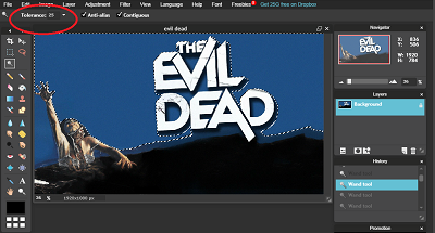 Delete Background in Pixlr Editor