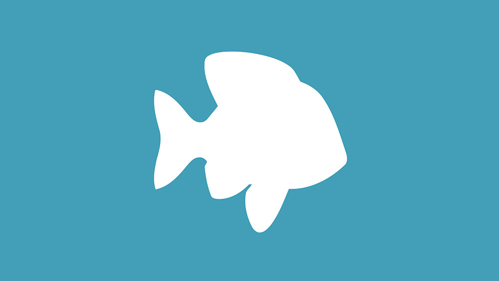 How to Tell if POF Profile is Fake