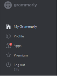 grammarly dashboard