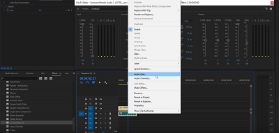 How to Add Echo in Premiere