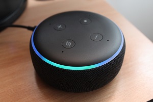 echo dot portable