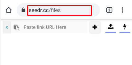 seedr URL
