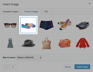 Shopify Upload Image