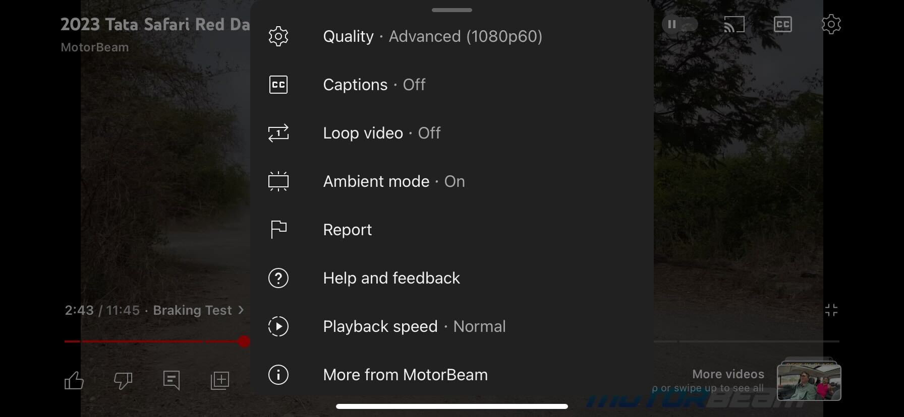 YouTube Video Caption option iPhone