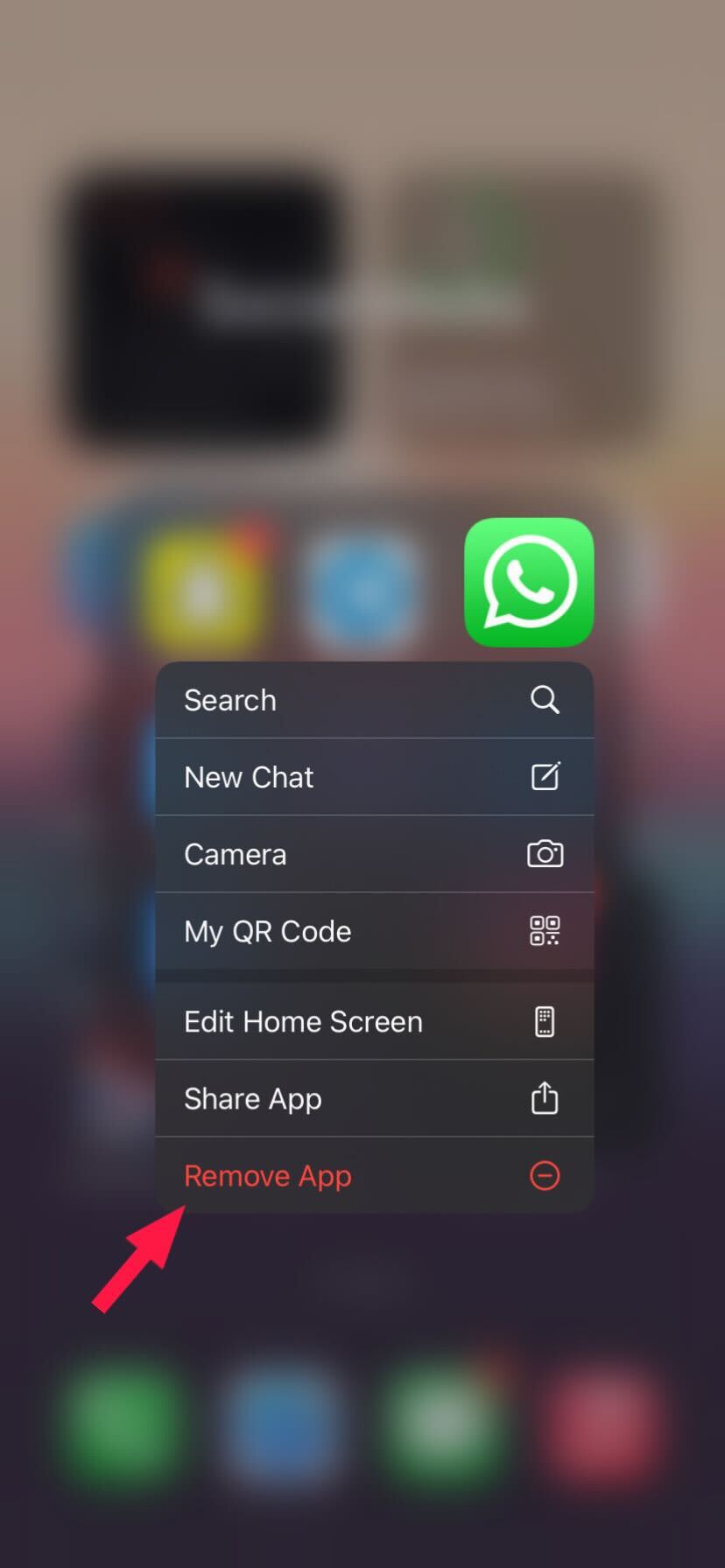 iPhone WhatsApp Remove App button