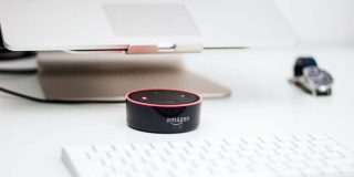 what to do if echo dot gets wet