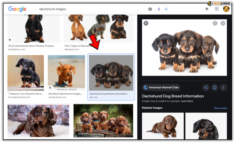 How to Copy and Get a Link to Any Online Image Embedded in a Website ...