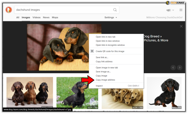 how to get all image links from a website