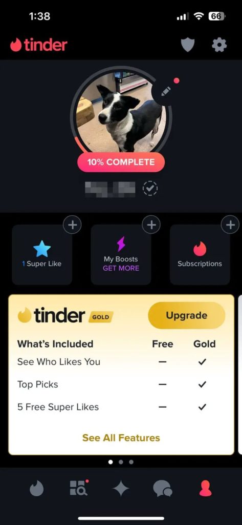 Tinder Select Interests