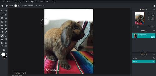 eraser tool pixlr app