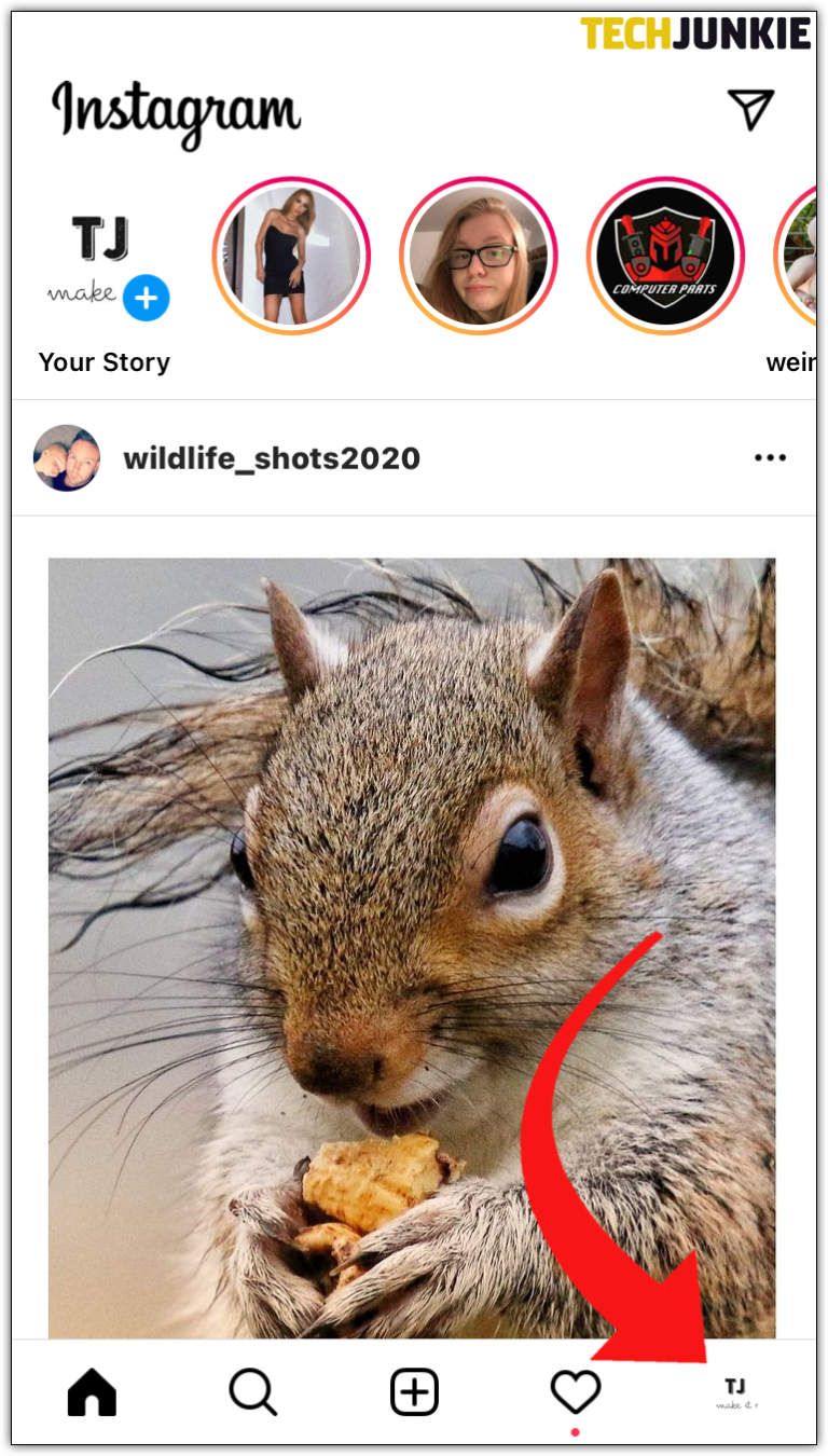 How To Find Link In Bio On Instagram Tech Junkie How To Find Link In Bio On Instagram Tech Junkie