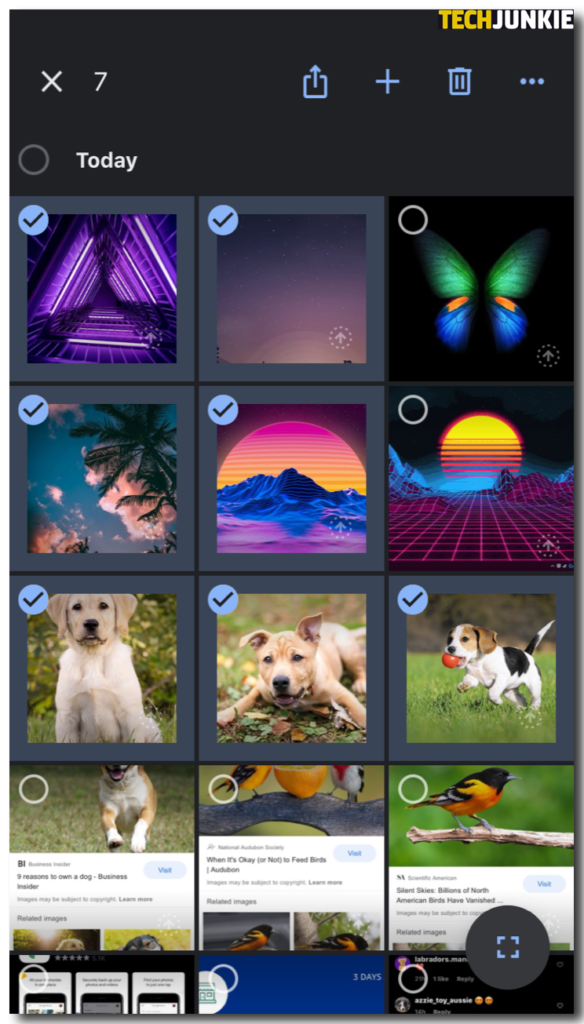 how-to-share-all-of-your-google-photos-with-someone-else-tech-junkie