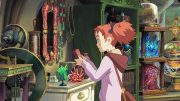 Mary and the Witch's Flower