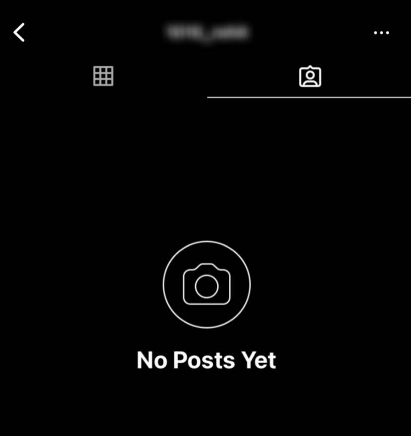 Instagram iOS Blocked profile posts