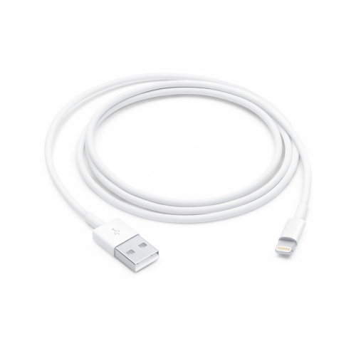 Apple Lightning to USB cable