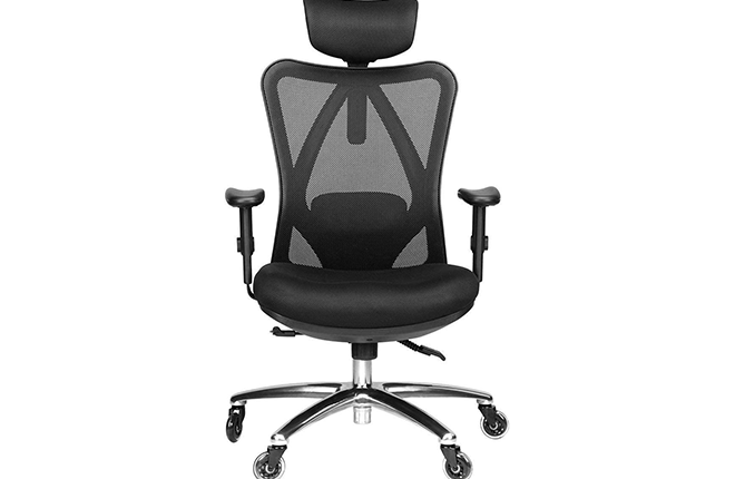 Duramont Ergonomic Office Chair