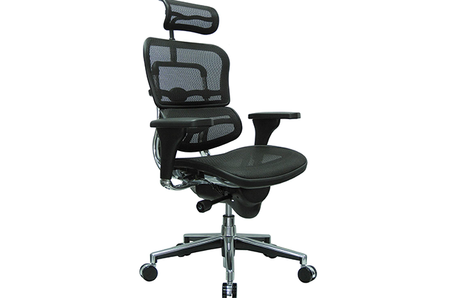 ERGOHUMAN HIGH BACK SWIVEL CHAIR