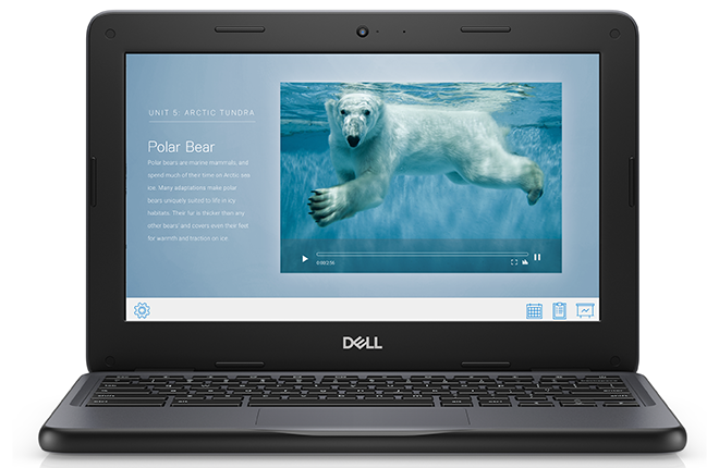 Dell Chromebook 11 (3100)