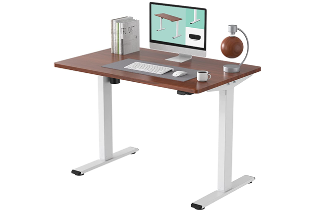 Flexispot EC1 Standing desk