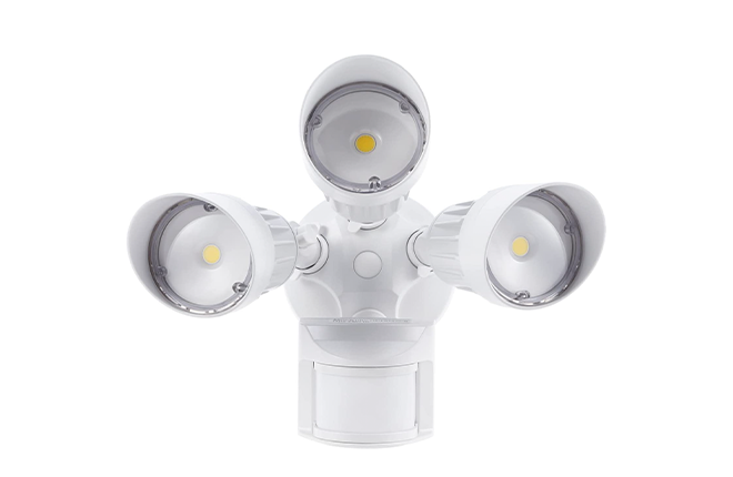 Leonlite LED Security Lights