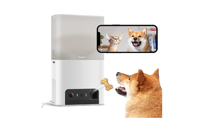 Petcube Bites 2 Lite