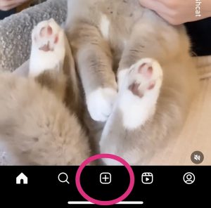 Instagram - showing the Create New Post button