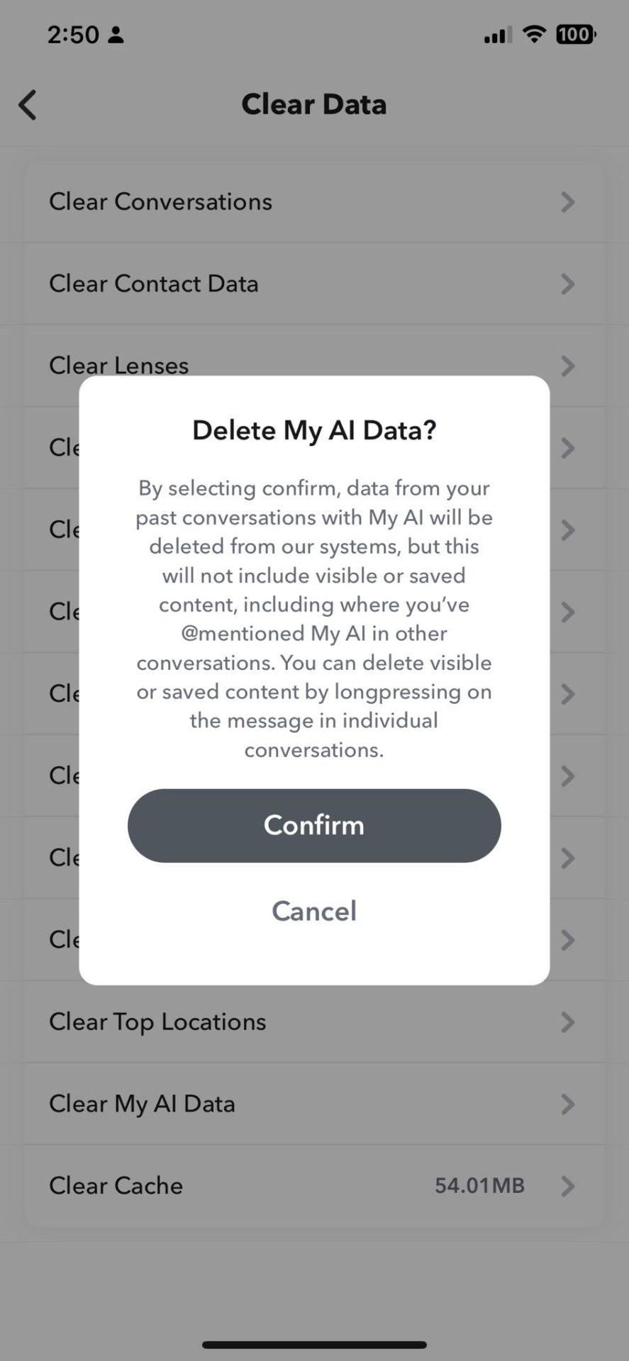 Deletion warning on Snapchat for My AI