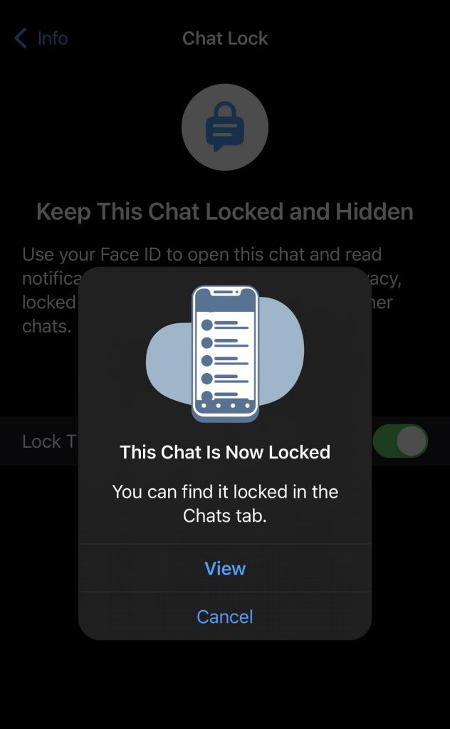 Whatsapp messenger app - showing chat lock is enabled