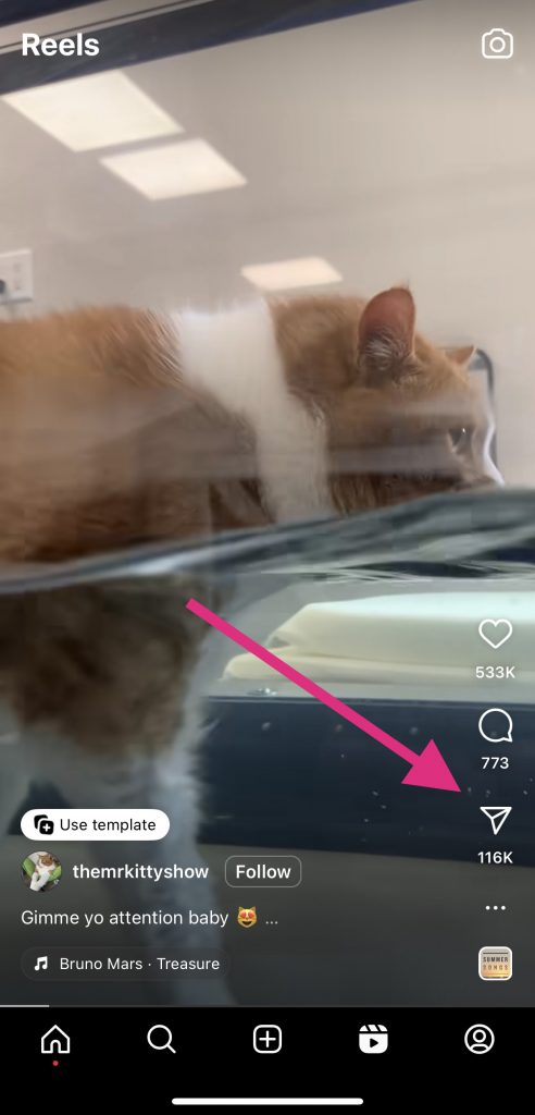 Instagram mobile app - showing the share button