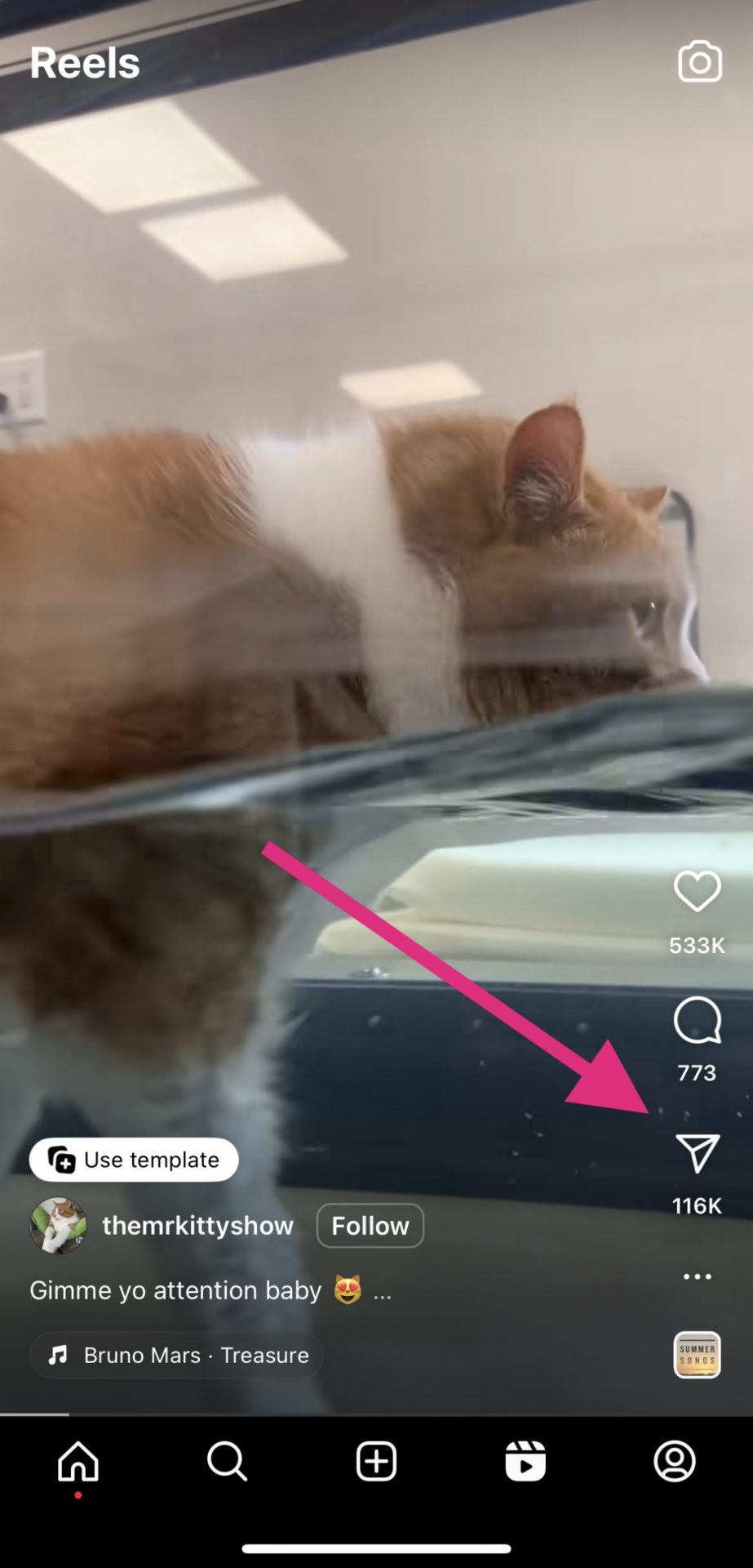 How to Download Instagram Reels - Tech Junkie