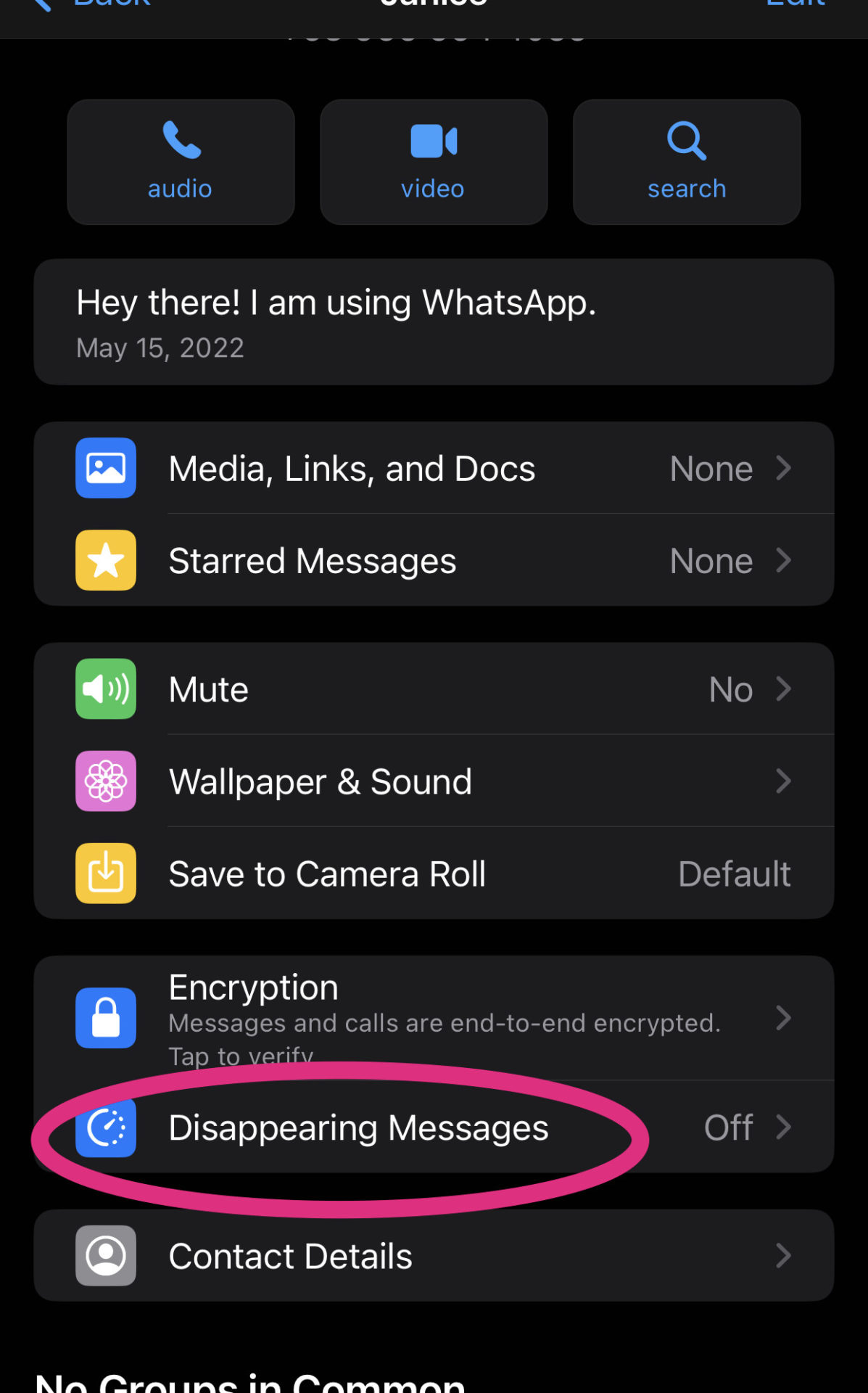 WhatsApp Messenger - showing the Disappearing Message button