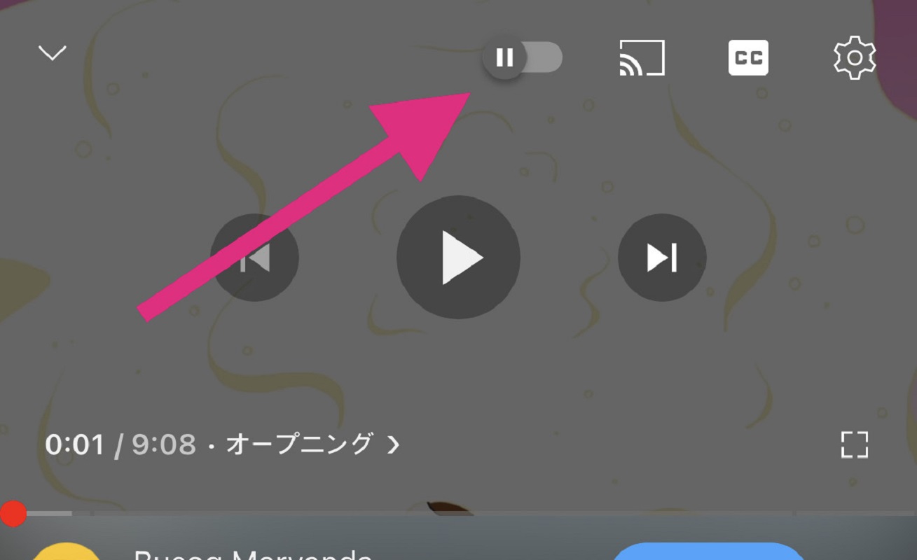 Youtube - showing the autoplay toggle button