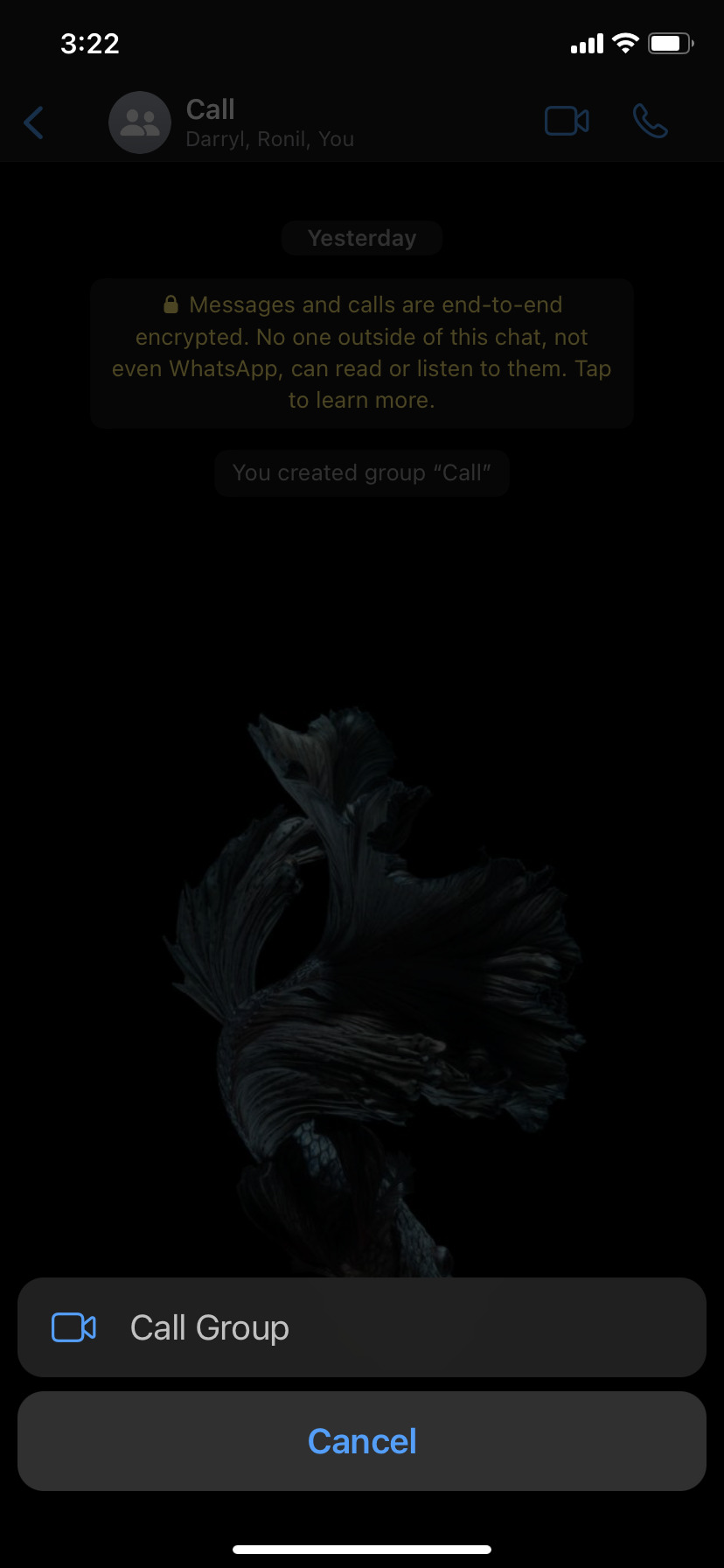 WhatsApp call group option