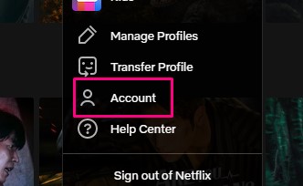 Netflix account button on website