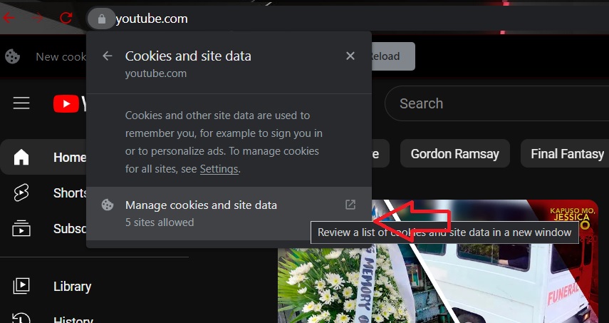 Manage cookies and site data location