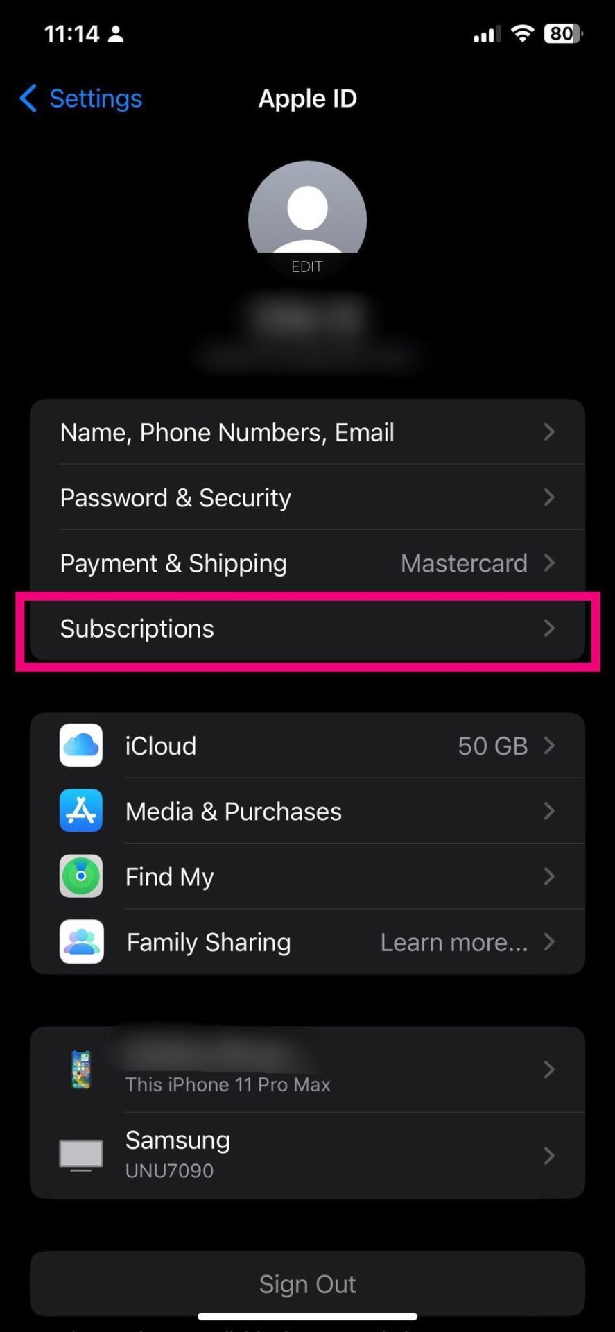 Subscriptions screen on iOS